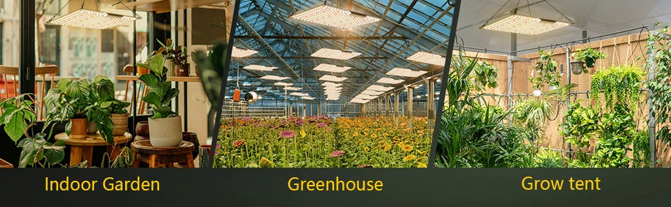 LED Grow Light 500W 600W 800W 1000W Diode Full Spectrum Silent Quantum Board Used for Greenhouse Tent Hydroponic Plant