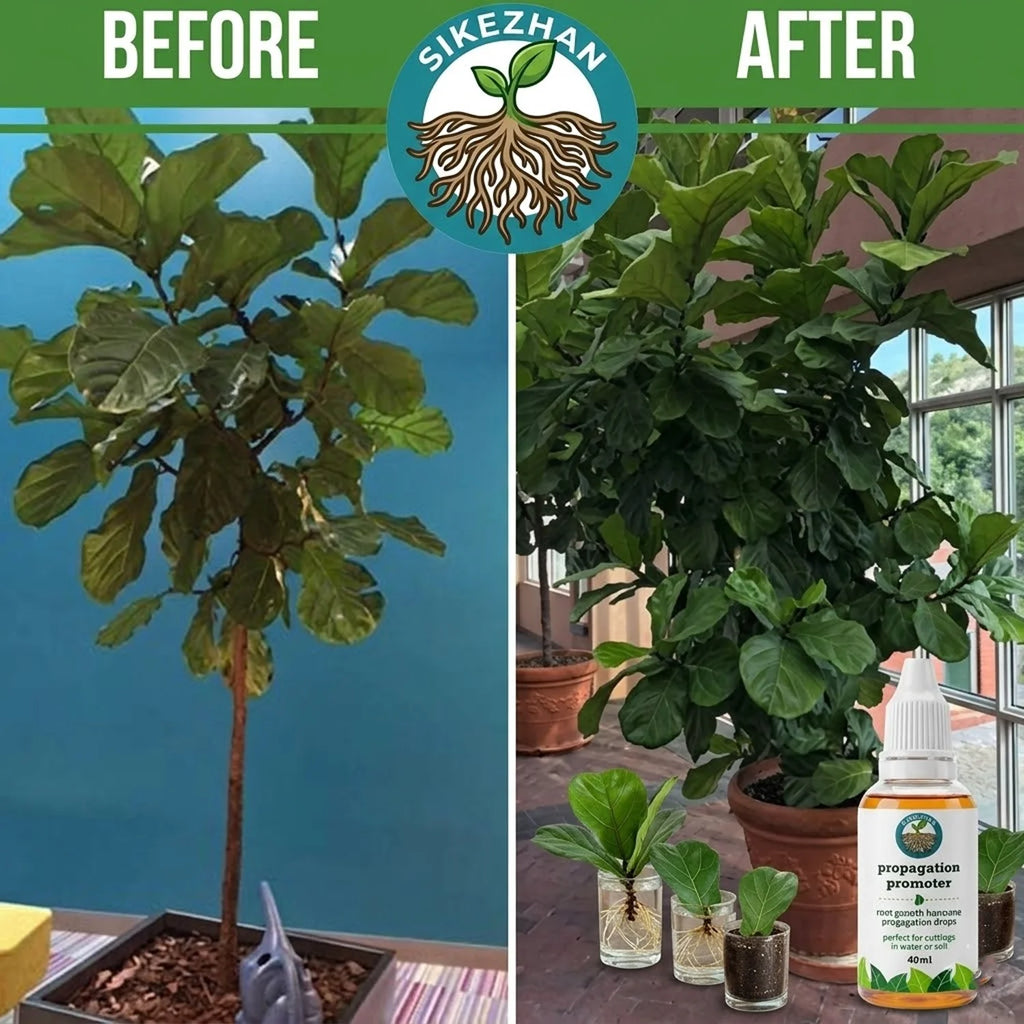 Liquid Plant Rooting Hormone Propagation Drops Root Growth Promoter Stimulator for Indoor Houseplants Water Soil Cuttings 40ml