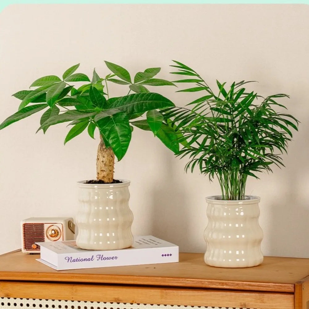 Creative Self Watering Hydroponic Plants Pot Removable Plastic Flowerpot Transparent Mini Succulent Planter Tabletop Vase
