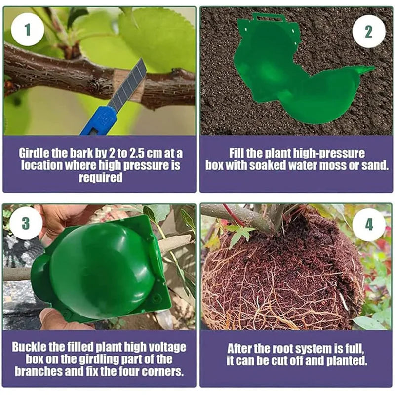 Plant Rooting Ball Gardening Supplies High Pressure Propagation Root Growing Box Cutting Grafting Ball Breeding Equipment TMZ