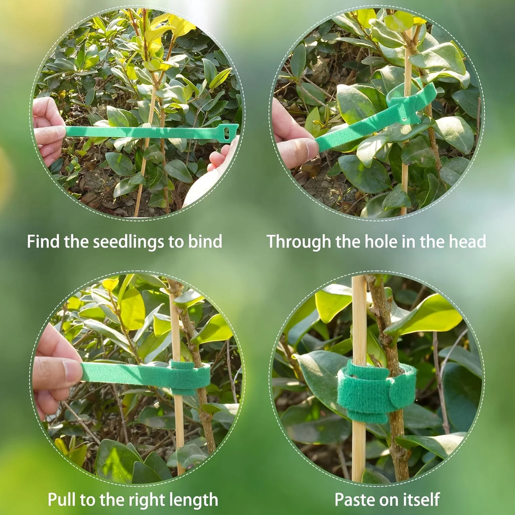 50/100pcs Reusable Adjustable Non-Slip Nylon Plant Ties with Hook and Loop Fasteners, Ideal for Gardening Applications