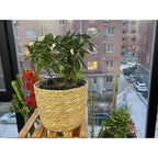 1Pcs Mini/S/M/L Grass Woven Flowerpot For Garden Terraces Small Plant Flower Basket Seedling Containers Planter Basket
