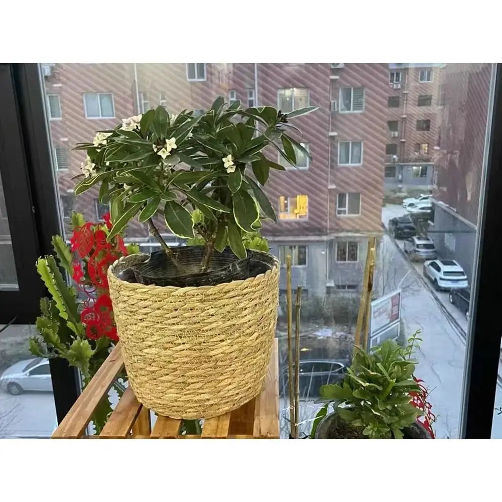 1Pcs Mini/S/M/L Grass Woven Flowerpot For Garden Terraces Small Plant Flower Basket Seedling Containers Planter Basket