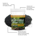 100g Plant Fertilizer Powder Plant Growth Nutrient Fertilizer Safe and Effective Rooting Supplement for Soil Culture Hydroponics
