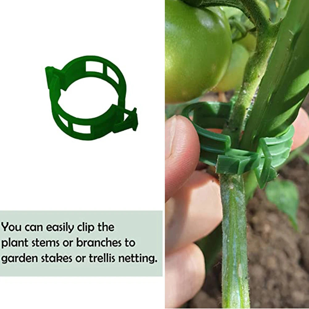 100 PCS Plant Support Clips Plastic Ties Trellis Stake Clips Garden Veggie Tomato Greenhouse Holder For Garden Tools Accessories