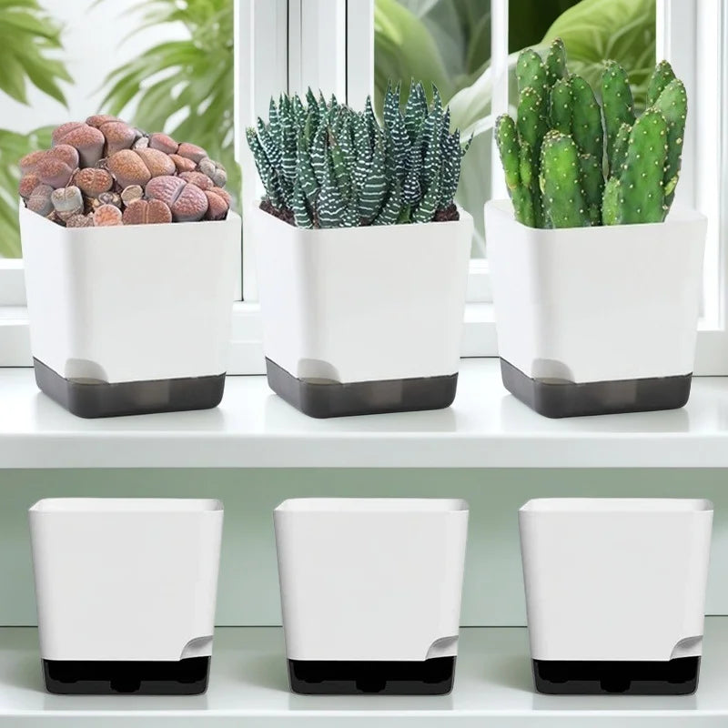5Pcs Plant Pots, Self Watering Flower Pots Indoor Outdoor, Self Watering Planters with Drainage Hole & Clear Saucer Reservoir