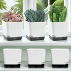 5Pcs Plant Pots, Self Watering Flower Pots Indoor Outdoor, Self Watering Planters with Drainage Hole & Clear Saucer Reservoir