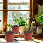 100/20x Seeding Nursery Pot Black Red Plants Nursery Pots Seedling Cups Grow Box Planters Home Garden Potted Container Wholesale