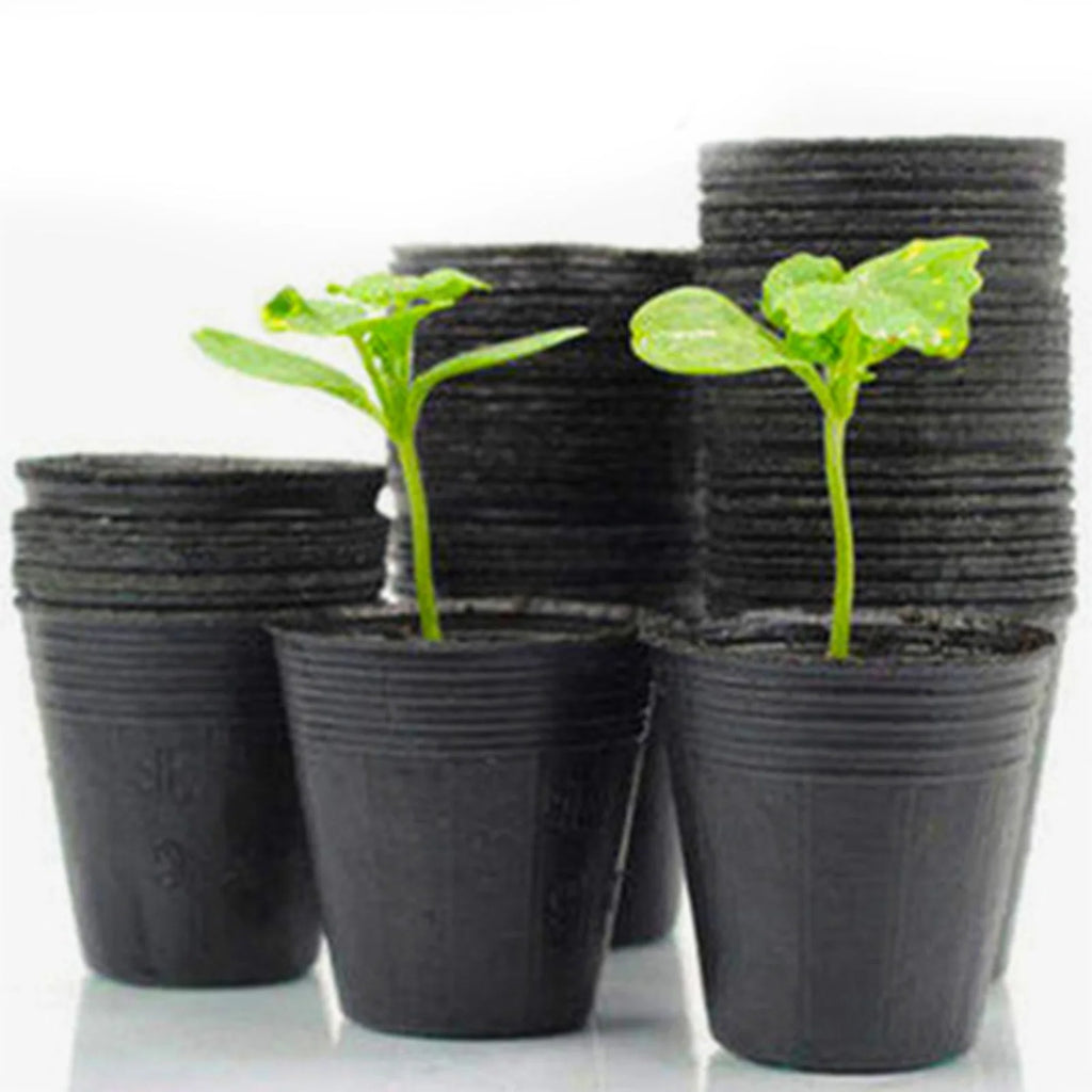 50/100Pcs Plastic Seedlings Starter Pot Black Flexible Plastic Seedling Pots for Starting Seedlings Succulents Seedling Bag