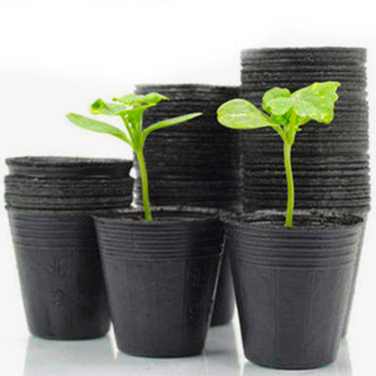 50/100Pcs Plastic Seedlings Starter Pot Black Flexible Plastic Seedling Pots for Starting Seedlings Succulents Seedling Bag
