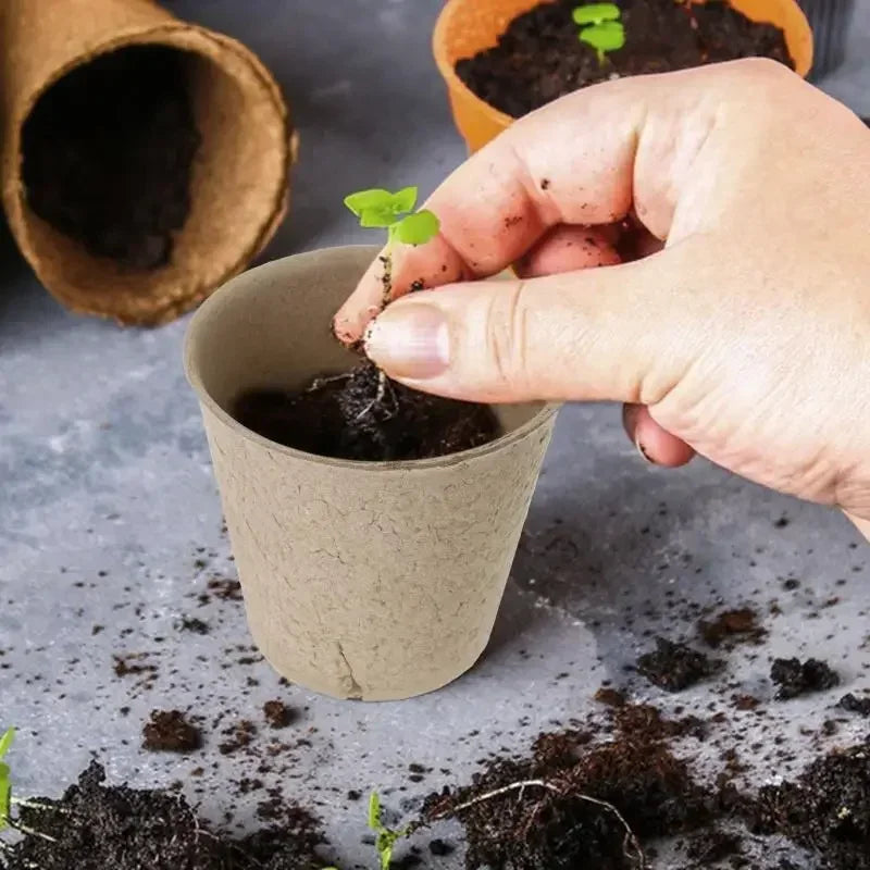 20-160PCS ﻿ 3.15 Inch Biodegradable Paper Pulp Seedling Starter Trays for Garden Planting Nursery Seed Germination Transplanting