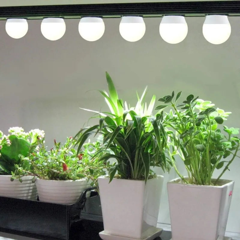 2pcs Full Spectrum Grow Light A19 Bulb 11W E26 Grow Lights for Indoor Plants Flowers Greenhouse Indore Garden Hydroponic Lamp