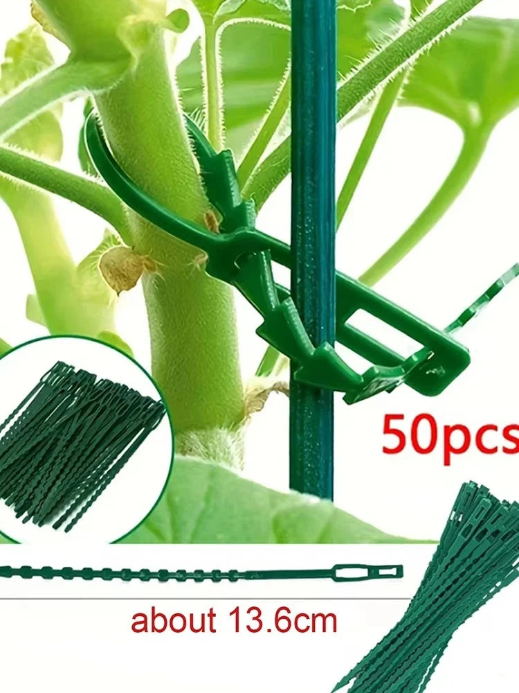 50pcs Adjustable Plastic Plant Cable Ties Reusable Cable Ties for Garden Tree Climbing Support Plant Vine Tomato Stem Clip