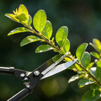 Pruning Shears Long Handle Trees Hand Tools Branch Scissors Garden Pruner Grass Pruners Gardening Equipment Large Lopper Cutter