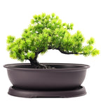 Outdoor Garden Landscape Bonsai Pot Trays Rectangular Square Planter Flowerpots Imitation Purple Clay Succulent Plants Pots