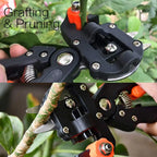 Professional Red Toolbox Grafting Pruner Garden Tool Farming Pruning Shears Scissor Fruit Tree Vaccination Secateurs With Tape