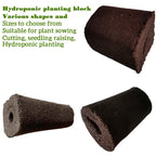 50pcs Seed Root Growth Sponges Soilless Growing Seedling Growth Helper Seed Starter Plugs for Hydroponic Flowers Plants