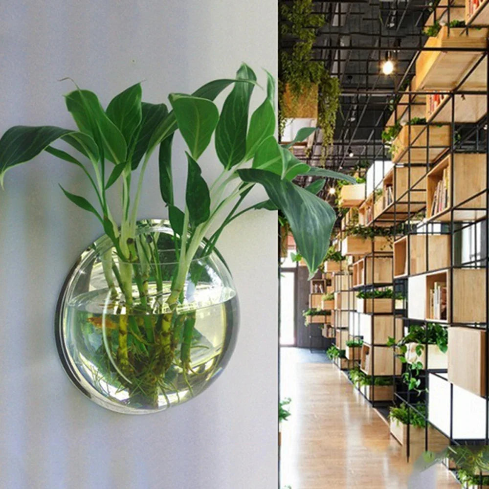 1Pc Free Punching Hydroponics Planter Home Decoration Pot Wall Hanging Mount Bubble Aquarium Bowl Fish Tank Aquarium Home Mini