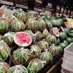 Watermelon Mesh Bag Hammock Reusable Melon Hanging Net Bag Fruit Harvest Trellis Hammock For Watermelon Pumpkin Cantaloupe