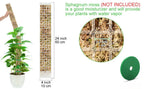 Plants Moss Pole Garden Subject Flower Plant Climbers Bonsai Accessories Pots Tutors ,for Planters Plants Growth Holder Support