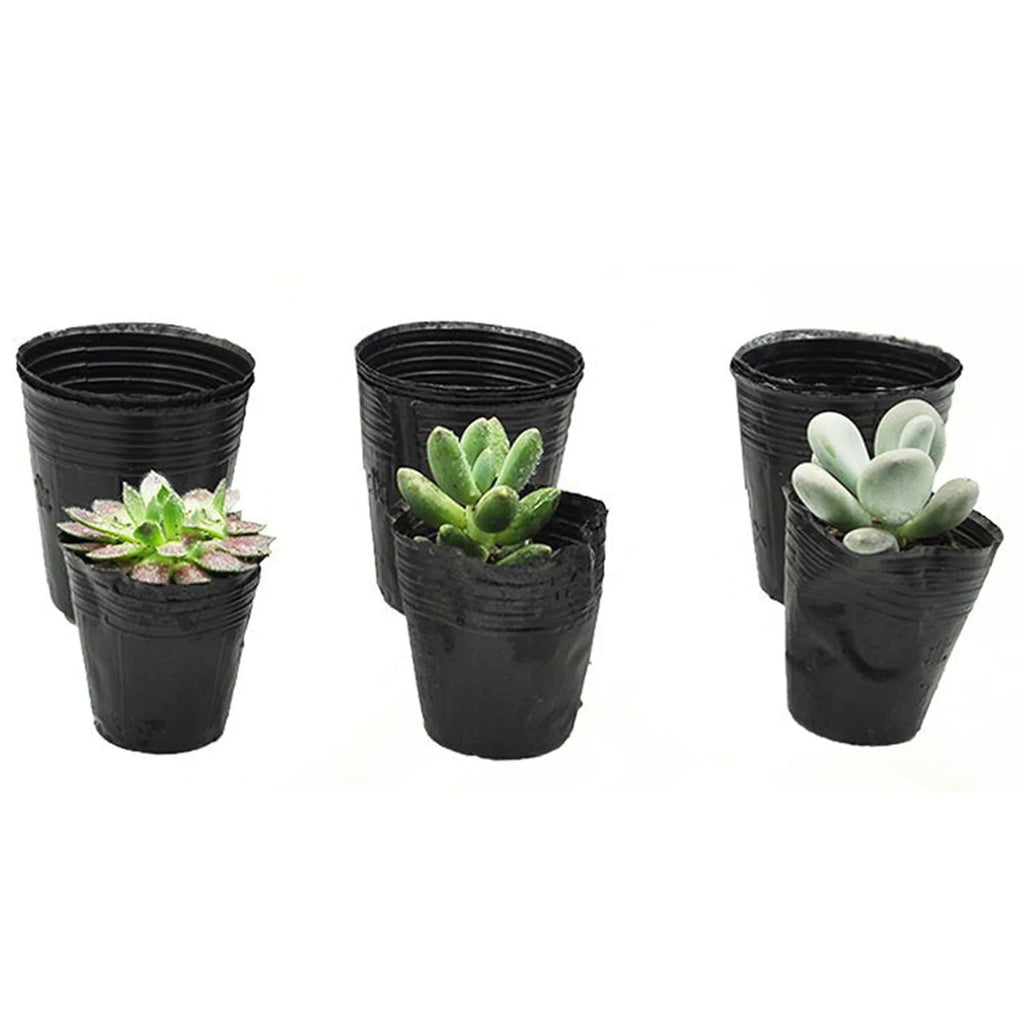 50/100Pcs Plastic Seedlings Starter Pot Black Flexible Plastic Seedling Pots for Starting Seedlings Succulents Seedling Bag