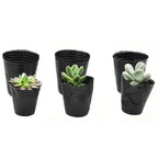 50/100Pcs Plastic Seedlings Starter Pot Black Flexible Plastic Seedling Pots for Starting Seedlings Succulents Seedling Bag