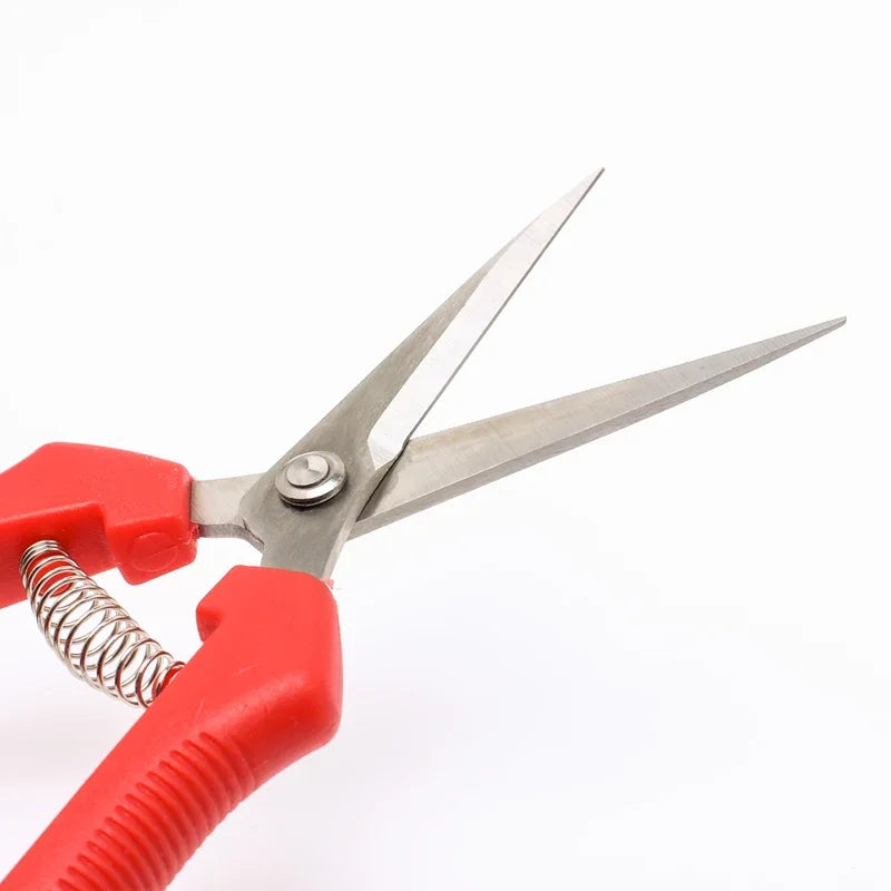 Stainless Steel Pruning Shears Sharp Non-Slip Handle Garden Pruner for Fruit Trees Branch Scissors Garden Tools