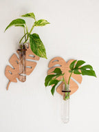 1/2 Pcs Leaf Shape Wall Planters Wooden Wall Hanging Plant Pots with Test Tube Vase Indoor Propagation Station Home Garden Decor