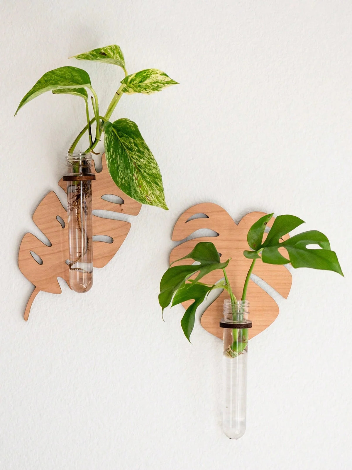 1/2 Pcs Leaf Shape Wall Planters Wooden Wall Hanging Plant Pots with Test Tube Vase Indoor Propagation Station Home Garden Decor