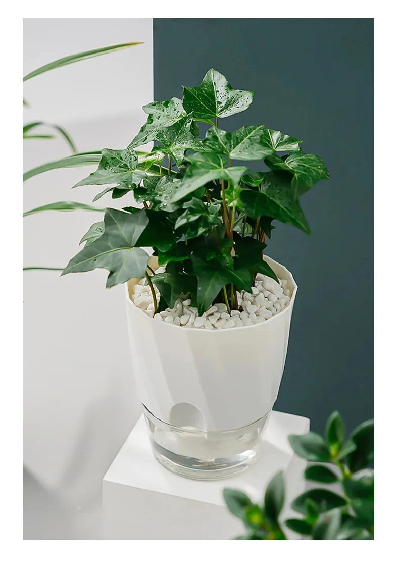 Clear Watering Pot Automatic Watering Planter Lazy Planter pot self Watering Container Lazy Flower Pot White Fully Transparent