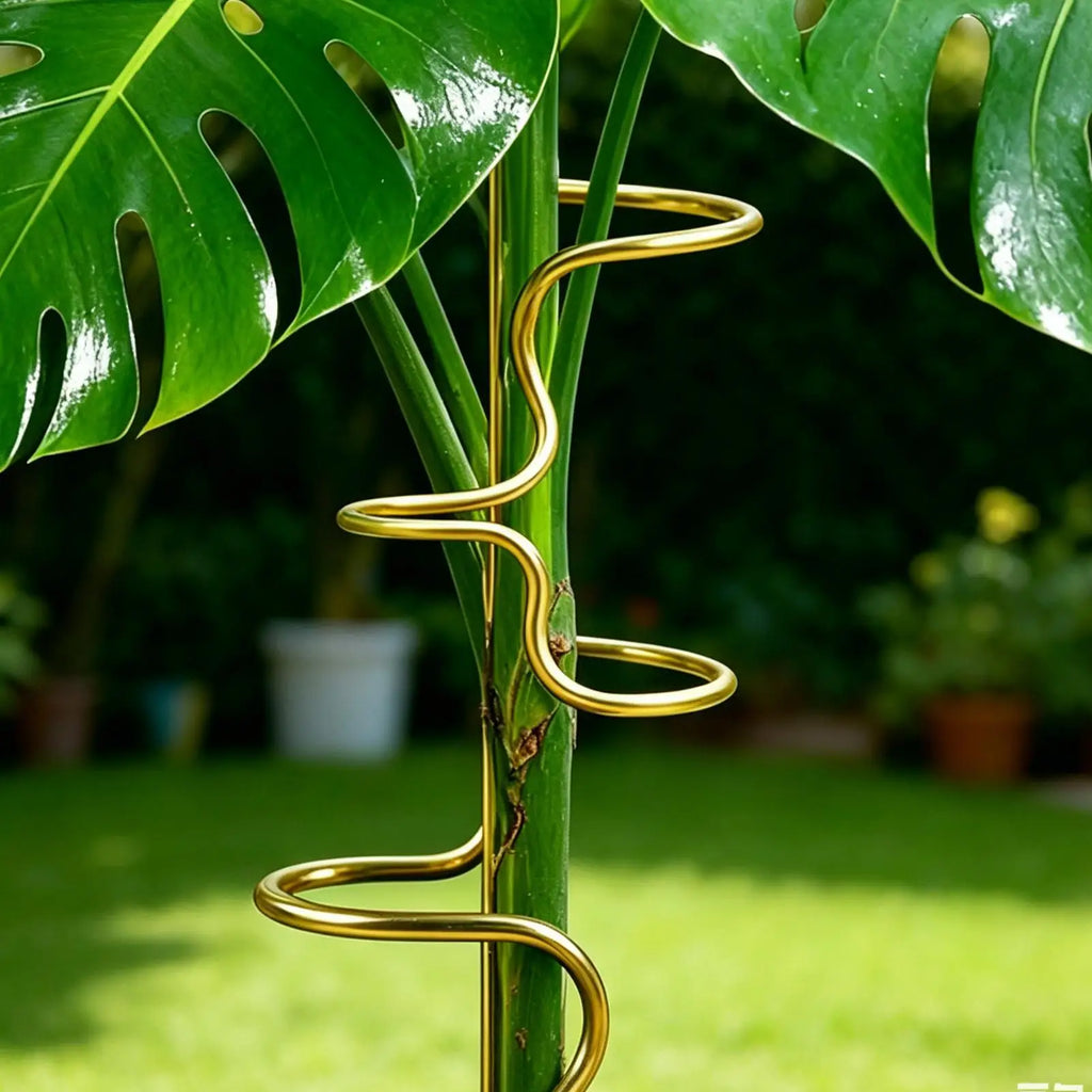 Metal Monstera Plant Support Stake, 32 cm (12.6 in)