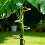 Metal Monstera Plant Support Stake, 32 cm (12.6 in)