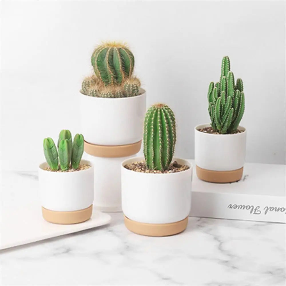 Round Cactus Succulent Plants Garden Supply Self Watering Flower Pot With Drainage Hole Flower Containers Indoor Orchid Pots