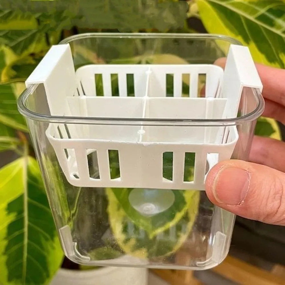 4 Grids Hydroponics Nursery Pots Planter Containers Clear Tulip Bulb Planter Plastic Square Planting Basket Indoor Gardening