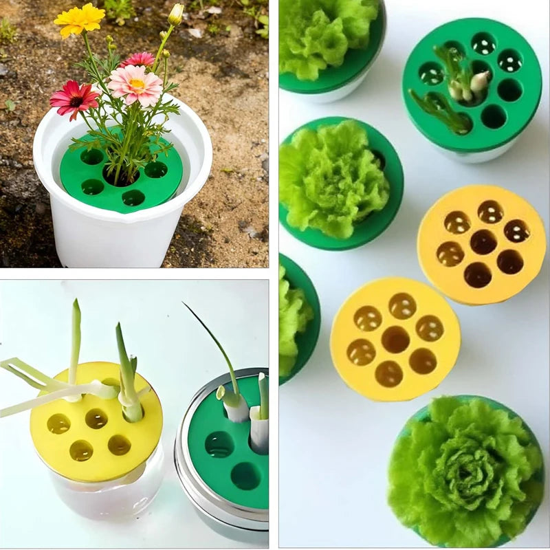 Hydroponic Vegetables Seed Planters Plant Garlic & Green Onion/Outdoor Nursery Pot  Gardening Flowers Plant Tray Growing Tool