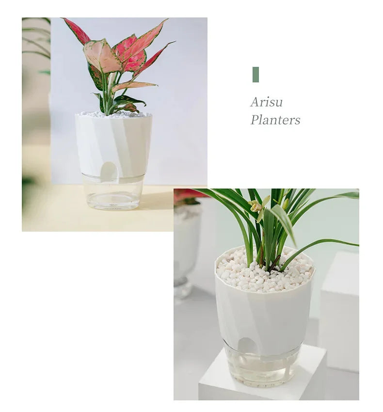Clear Watering Pot Automatic Watering Planter Lazy Planter pot self Watering Container Lazy Flower Pot White Fully Transparent