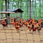 5/10M Garden Protect Netting Anti Birds Net Animals Deer Fencing Mesh for Fruits Trees Plants Stretch Durable Pest Barrier 그물망