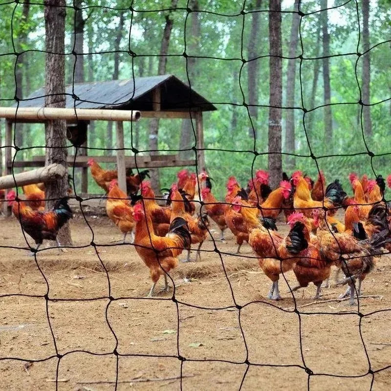 5/10M Garden Protect Netting Anti Birds Net Animals Deer Fencing Mesh for Fruits Trees Plants Stretch Durable Pest Barrier 그물망