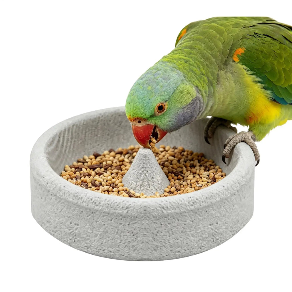 Bird Feeders for Outdoors | Round Small Stone Weatherproof Dish | Backyard Bird Feeder | for Water Pet Finch Parrots Watching