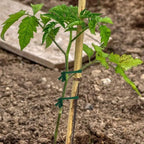 Green Garden Rope Cloth Strip Plant Support Tie Used For Cable Sorting In Garden Offices And Home
