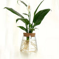 Propagation Station with Glass Vases - Tabletop Plant Rack for Hydroponic Cuttings, Home Office Decor