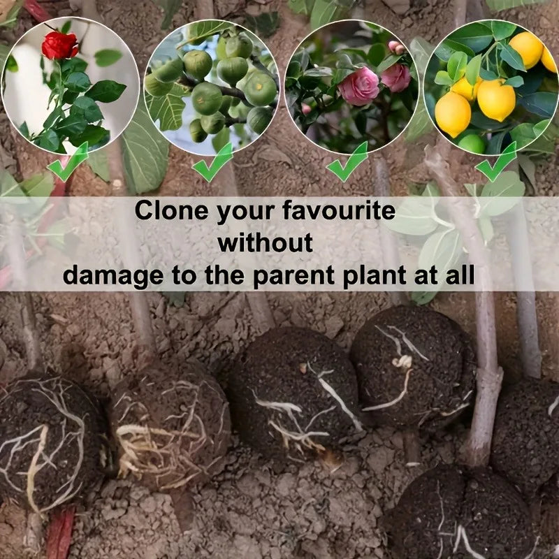 10pcs Plant Propagation Box Set High-Pressure Grafting, Cutting, and Rooting Kit for Tree Branches with Pressure Balls