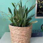 1Pcs Mini/S/M/L Grass Woven Flowerpot For Garden Terraces Small Plant Flower Basket Seedling Containers Planter Basket