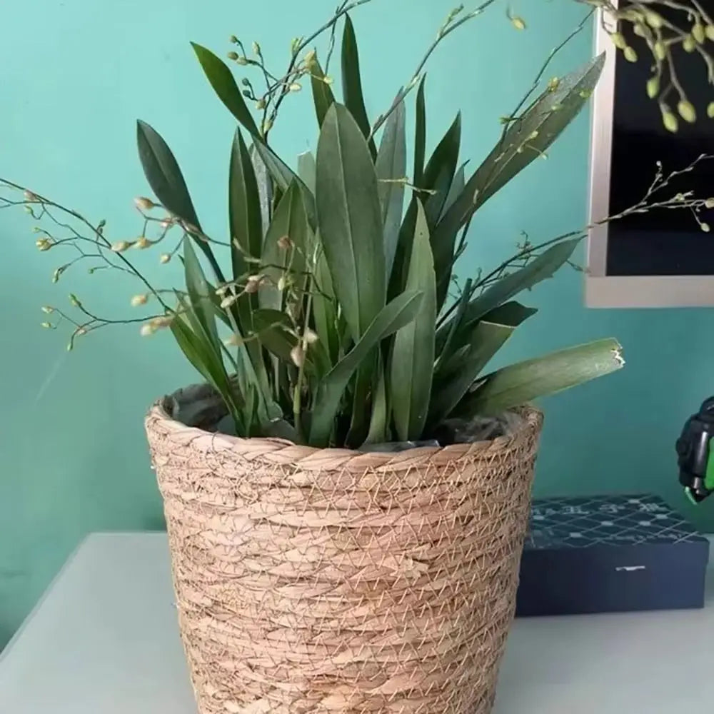 1Pcs Mini/S/M/L Grass Woven Flowerpot For Garden Terraces Small Plant Flower Basket Seedling Containers Planter Basket