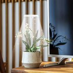 Grow Light Full Spectrum Light LED Grow Indoor Height Angle Adjustable Ring Grow Light Timer Height Adjustable USB Powered