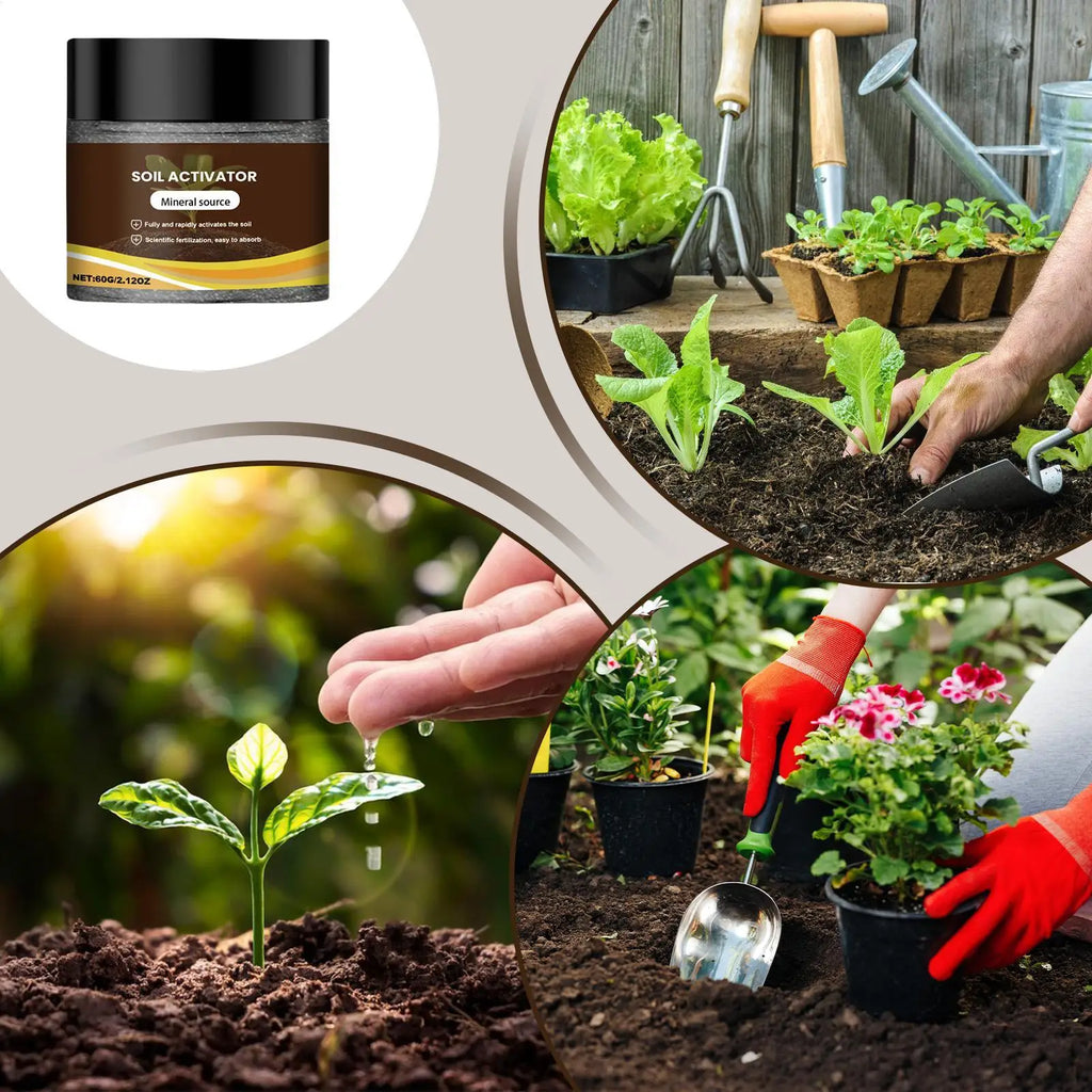60G Organic Soil Activators And Plant Fertilizers Indoor Plant Fertilizers For Healthy Flowers And Soil Plants