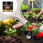 60G Organic Soil Activators And Plant Fertilizers Indoor Plant Fertilizers For Healthy Flowers And Soil Plants