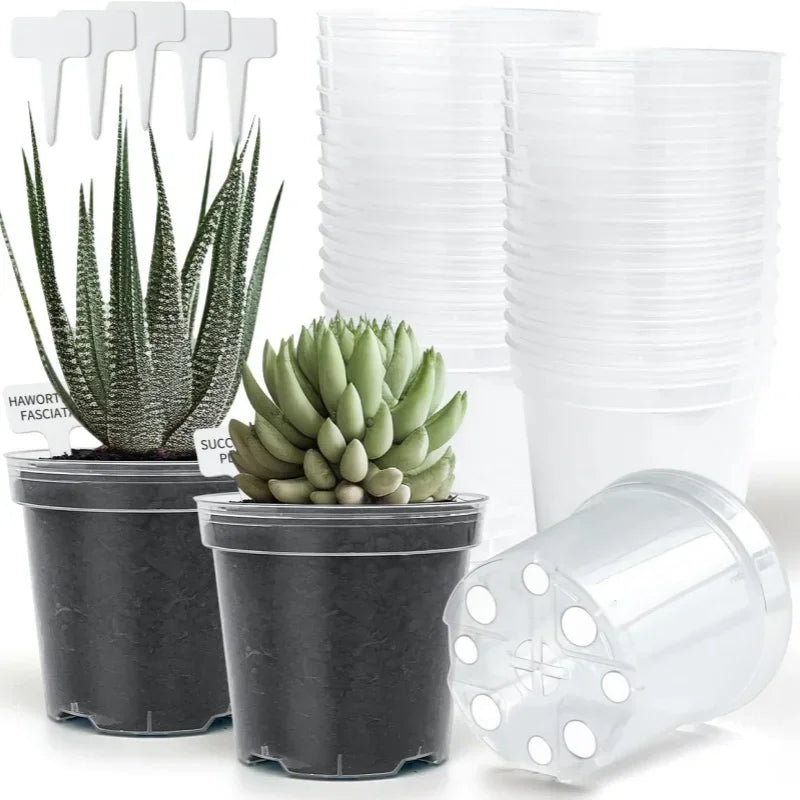 5pcs Home Garden Round Planter Pot Orchid Nursery Container Planter Container Transparent Orchid Container Round Starting Pot