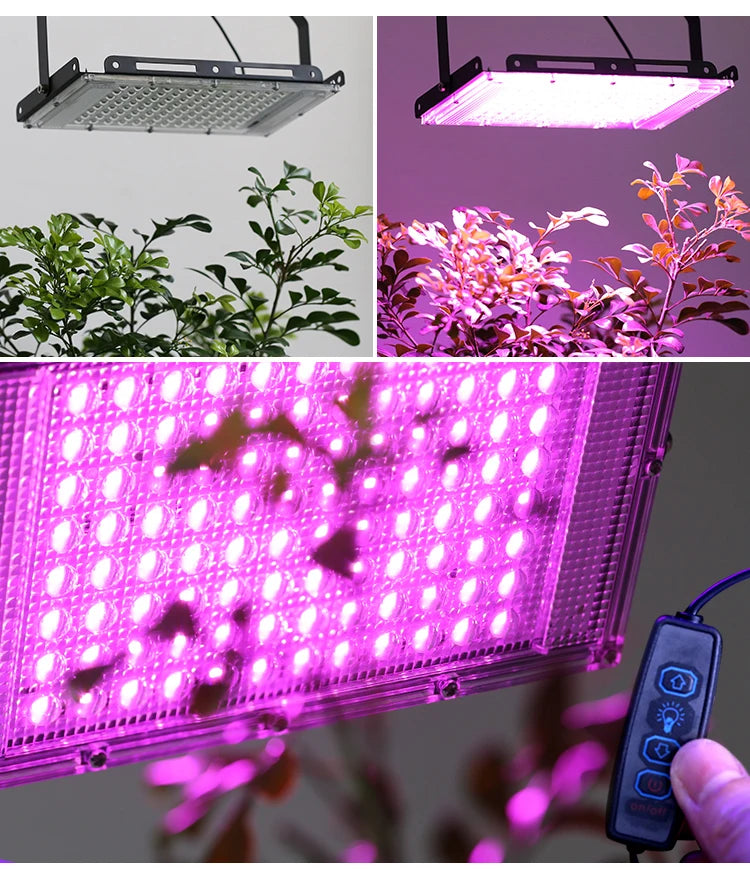 Led Grow Light 50W 100W 150W 220V Outdoor Full Spectrum LED Plant Growth Lamp Led Spotlight Projector Streetlight Led Floodlight