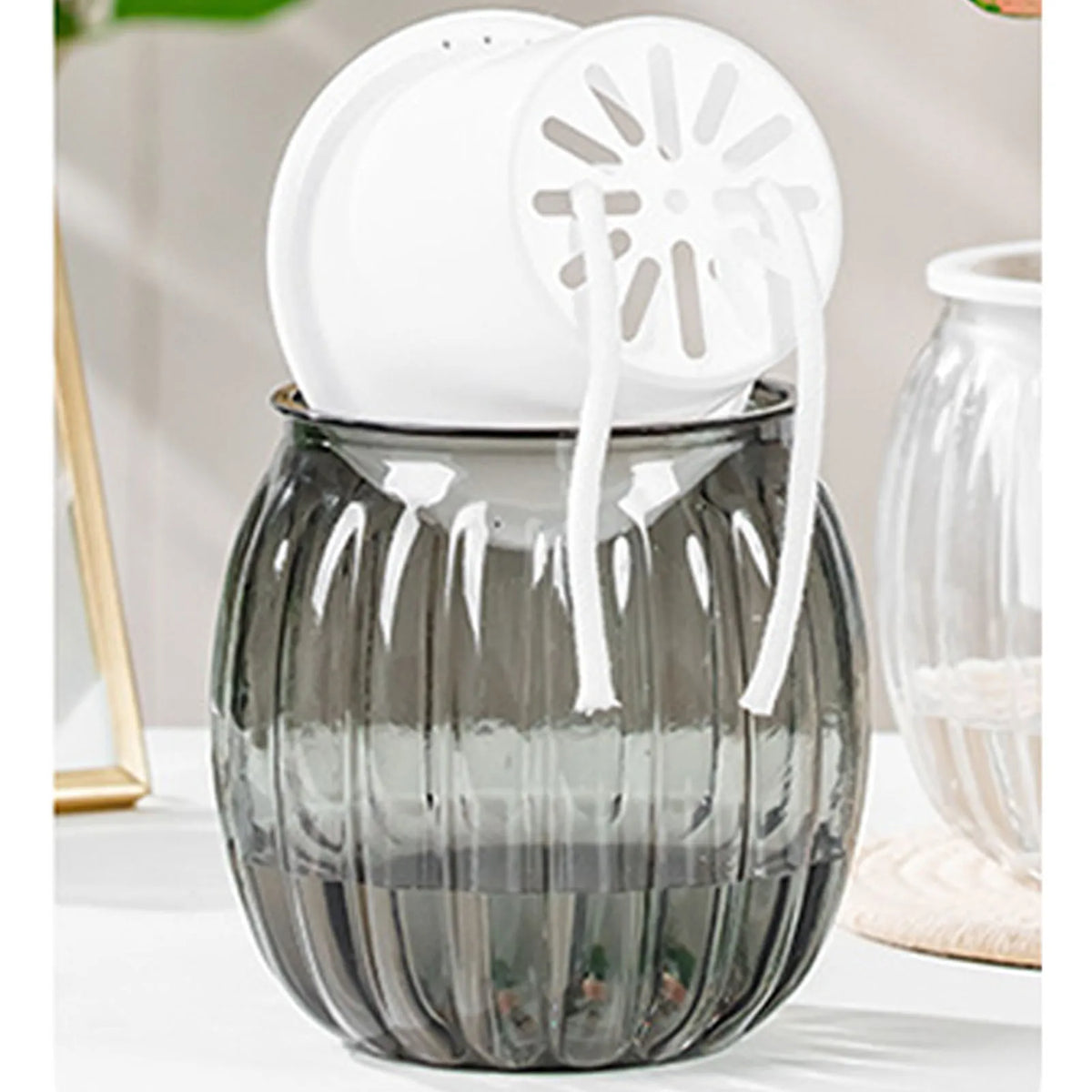 Clear Self Watering Planters Pots Modern Transparent Plants Care Pots for Garden Enthusiast Lover Gift